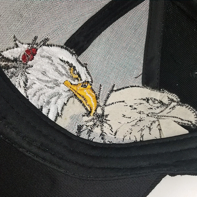 Unisex gothic eagle embroidered baseball cap alternative fashion headwear tactical style multiple angle showcase