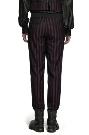 Schwarze Burgundy vertikalgestreifte Slim-Fit-Gothic-Röhrenhose Rückansicht vollständige Körperlänge männliches Model mit Seitentaschen